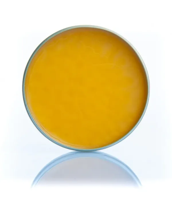 Hot Grasso di Foca per Scarpe e Stivali in Pelle e Cuoio - Ammorbidisce e Impermeabilizza Lucidi E Creme